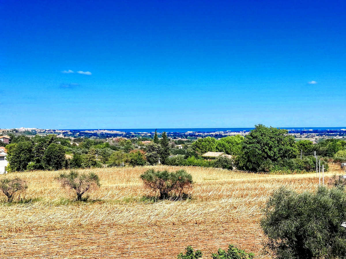 monte-san-vito-mare-2026
